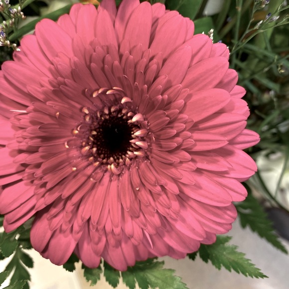 Meet your Posher, Devin - Picture 1 of 1